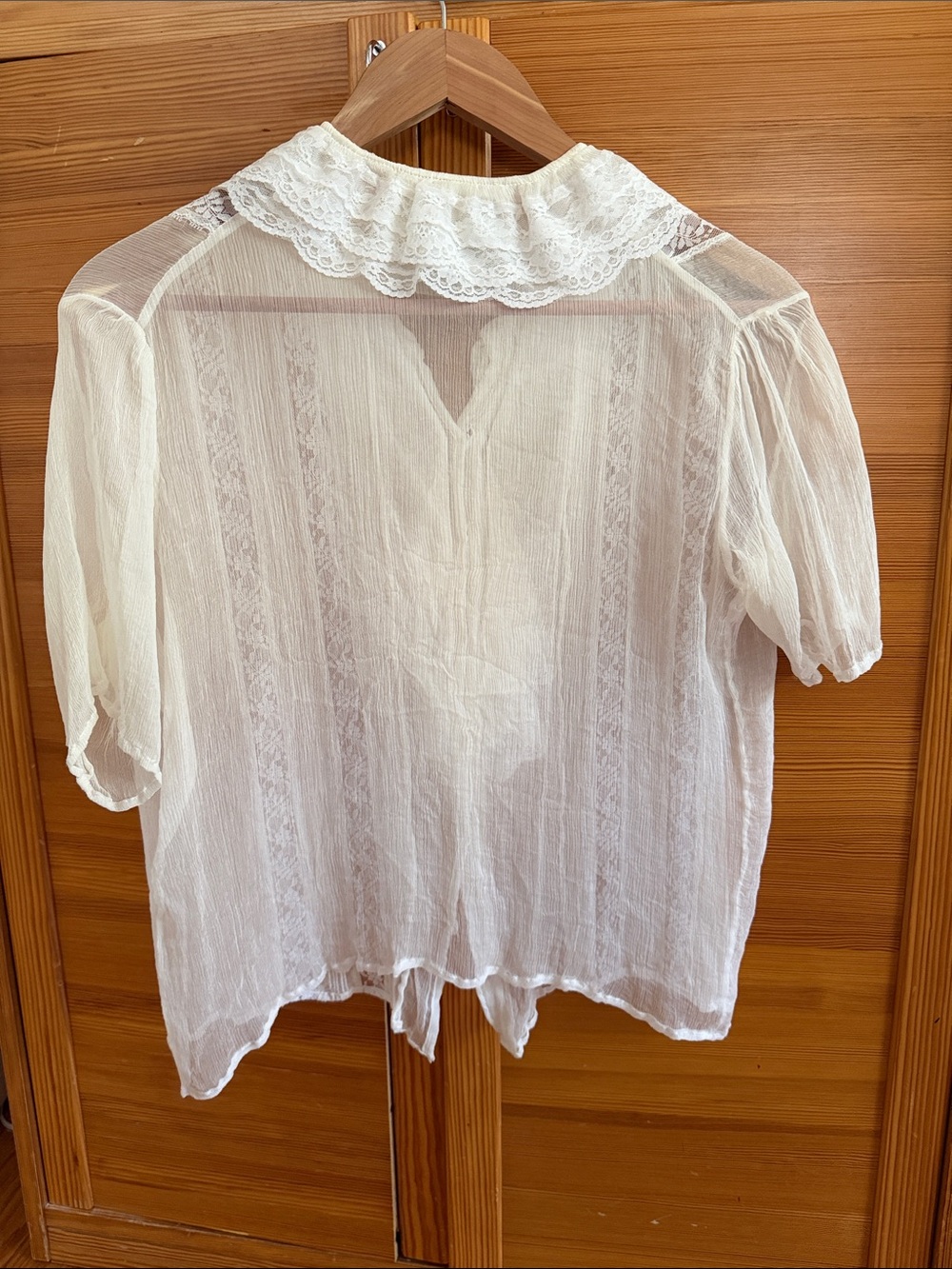 Chasing Unicorns Fly Like An Eagle Silk Chiffon Blouse - Picture 4 of 4